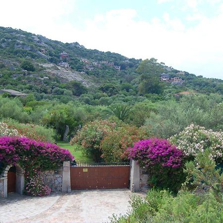 Charming Studio In Olbia With Garden 35 M² Apartment Porto Rotondo Exterior photo